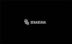 Manus登陆教程